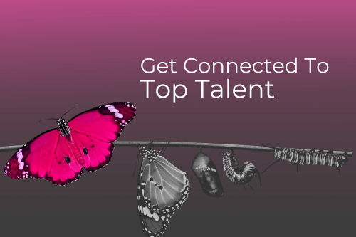 Get connected to top talent